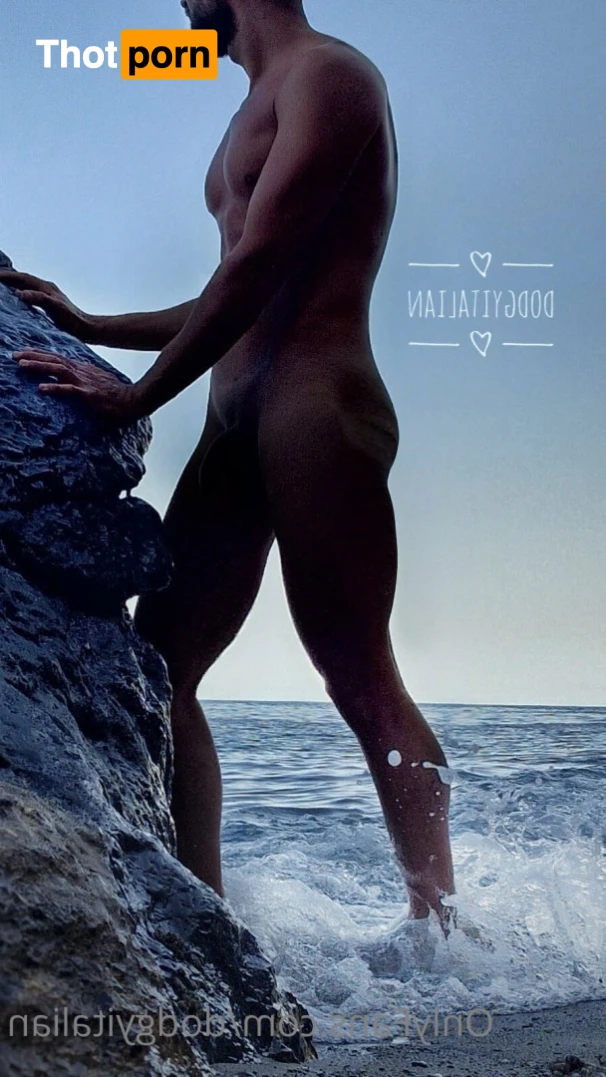 Dodgy Italian 12986647