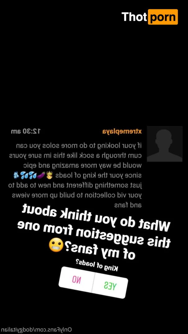 Dodgy Italian 12986704