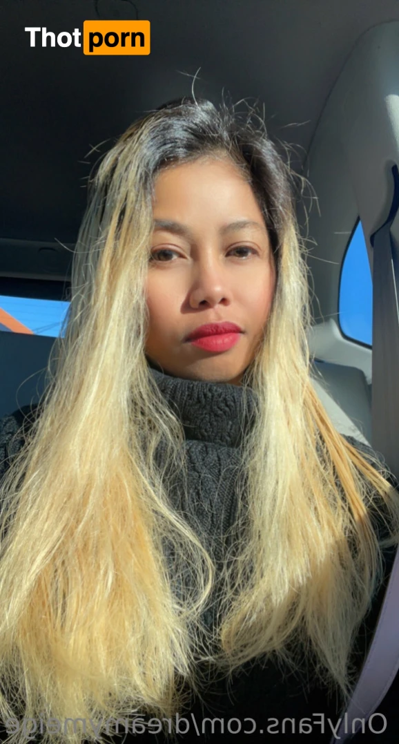 DreamyMeige 12594516