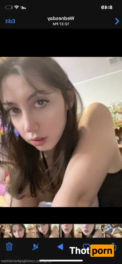 dysphorickitten 12531151