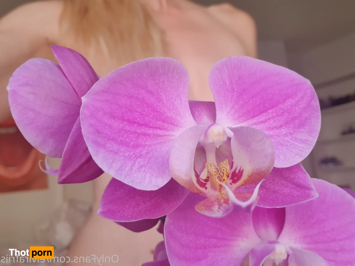 Elvira Friis 12175810