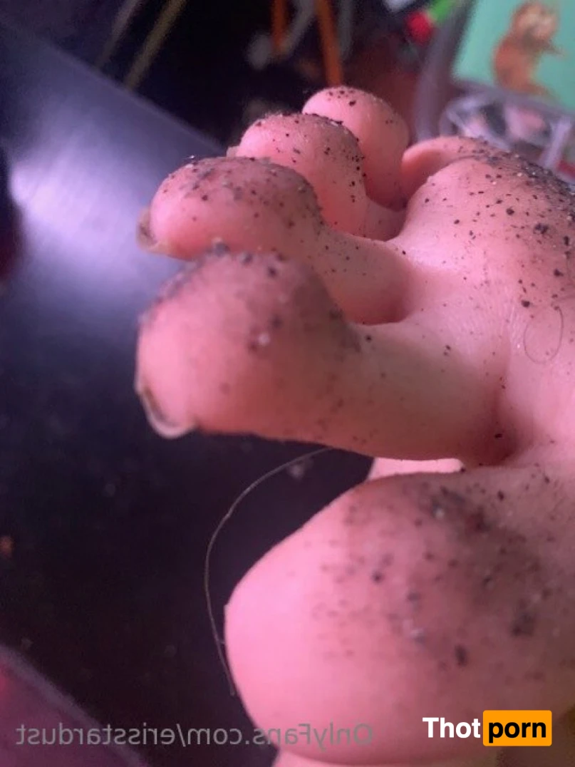 Eris Stardust 11816753