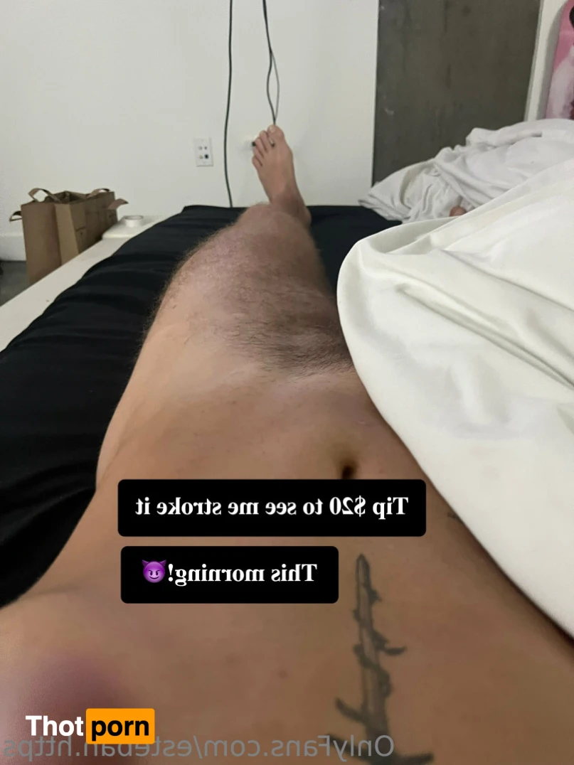 Esteban.Https 16532477