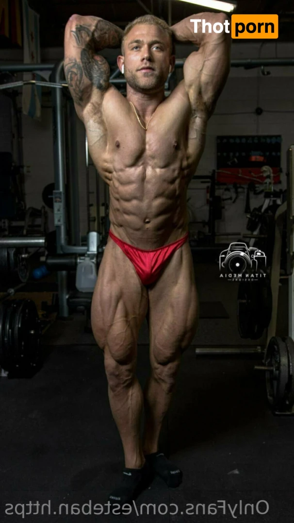 Esteban.Https 16532497