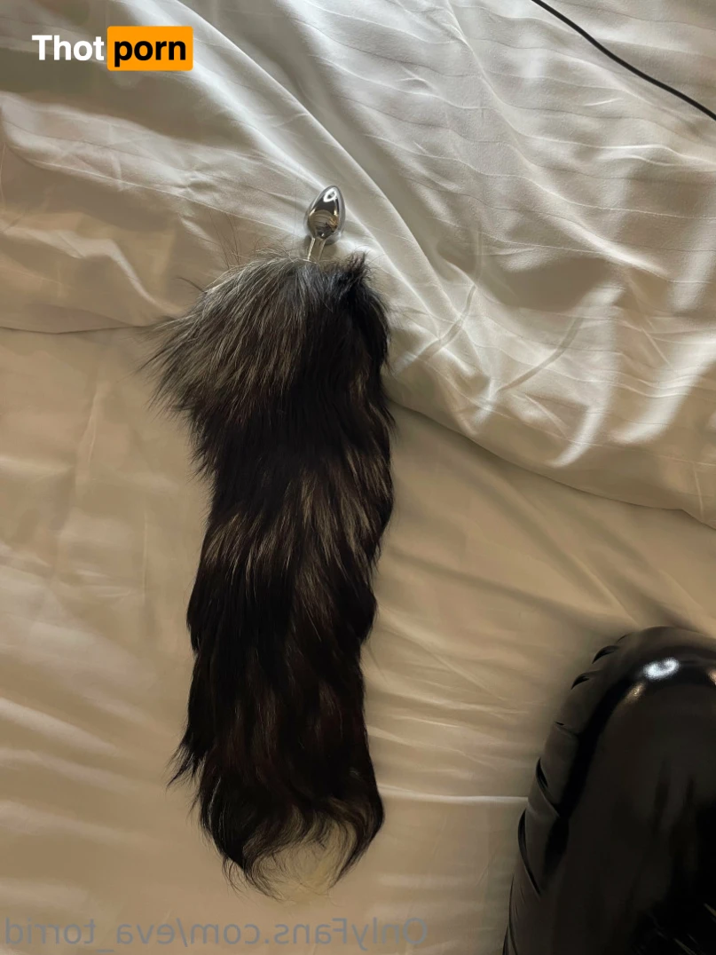 Eva Torrid😻 16519384