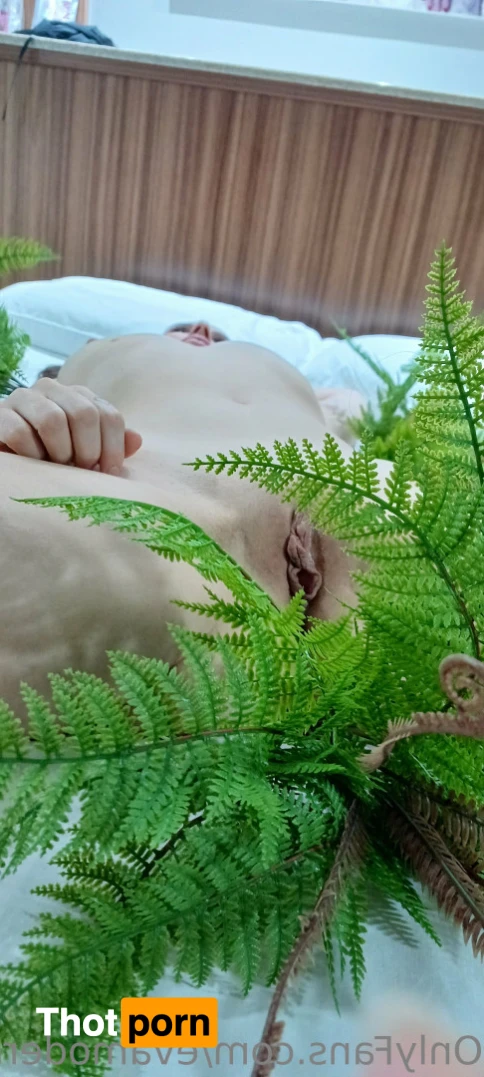 Eva Moderninha 16512426