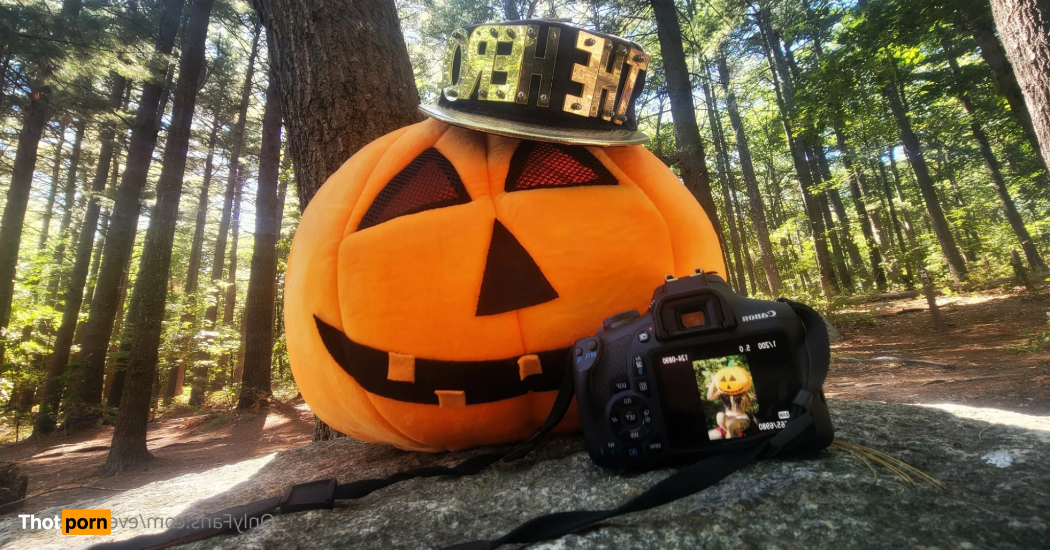 Everyone's Hero 16495176