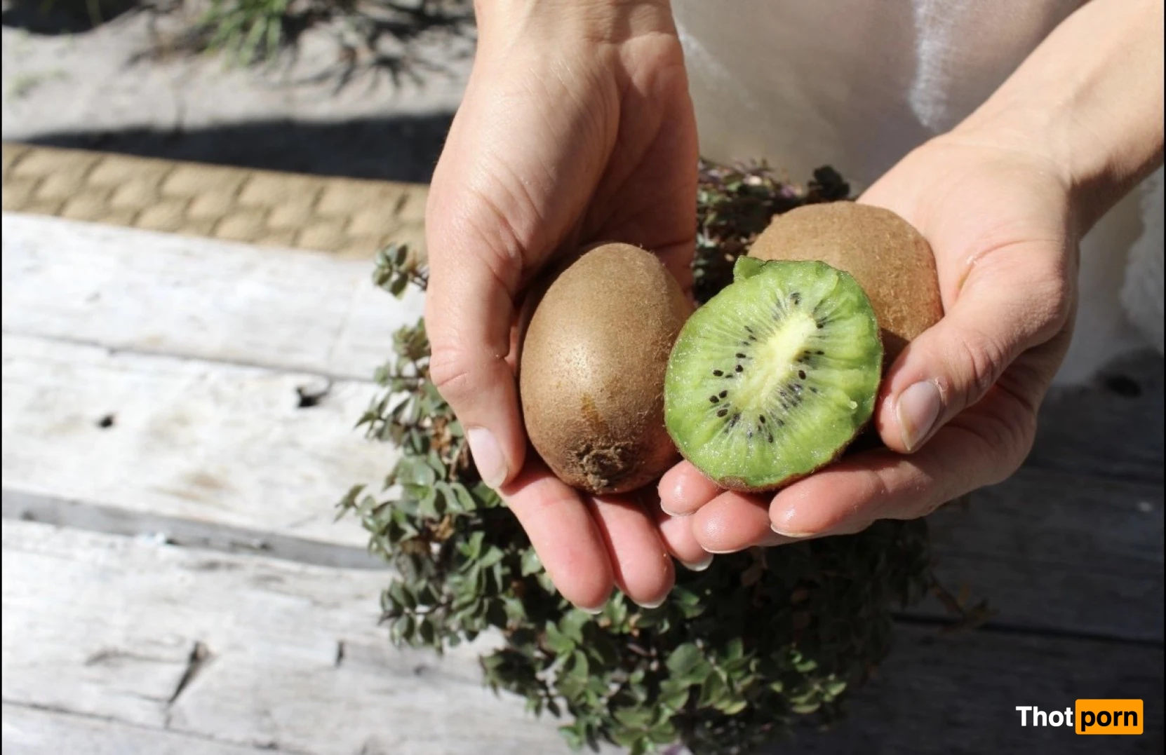 Evolve with Kay 16490234