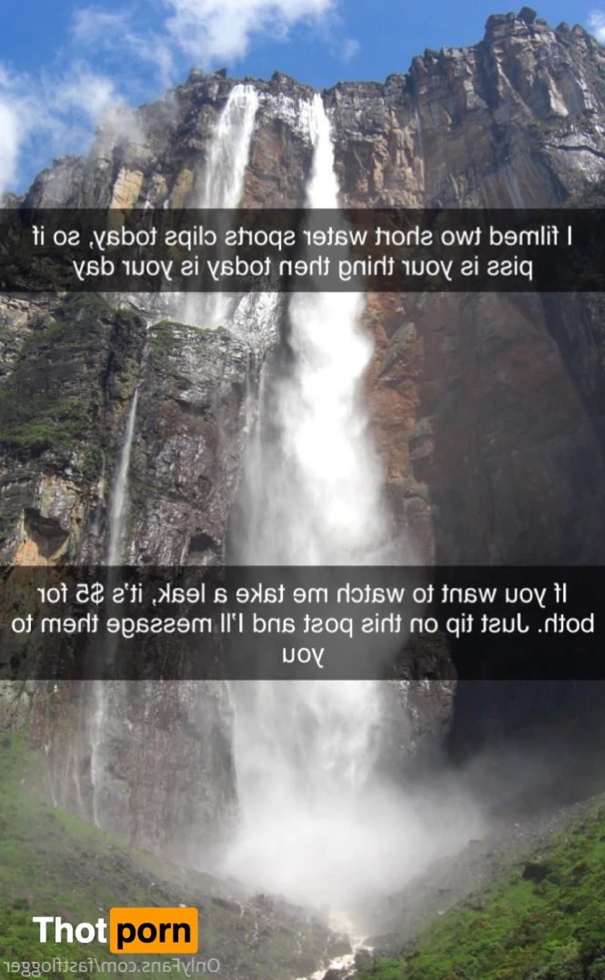 FastFlogger 16468494