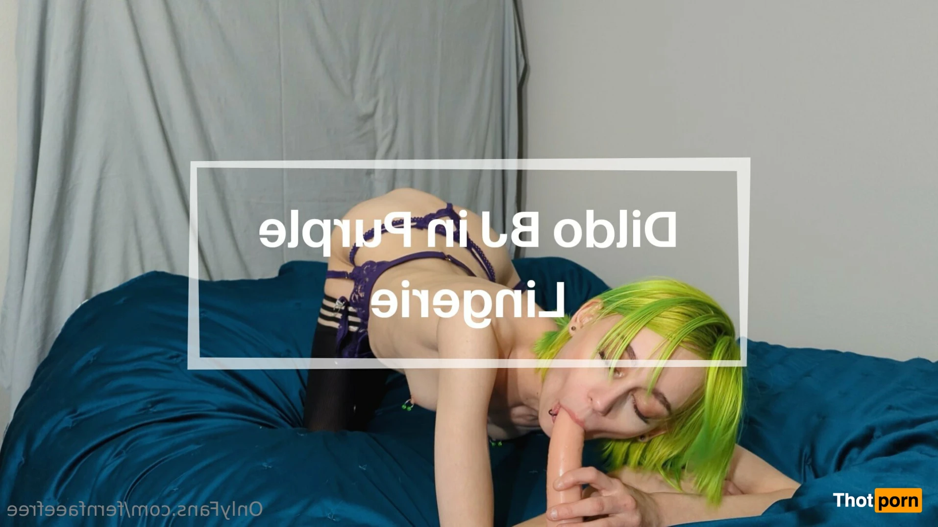 FernFaeeFREE 16398822