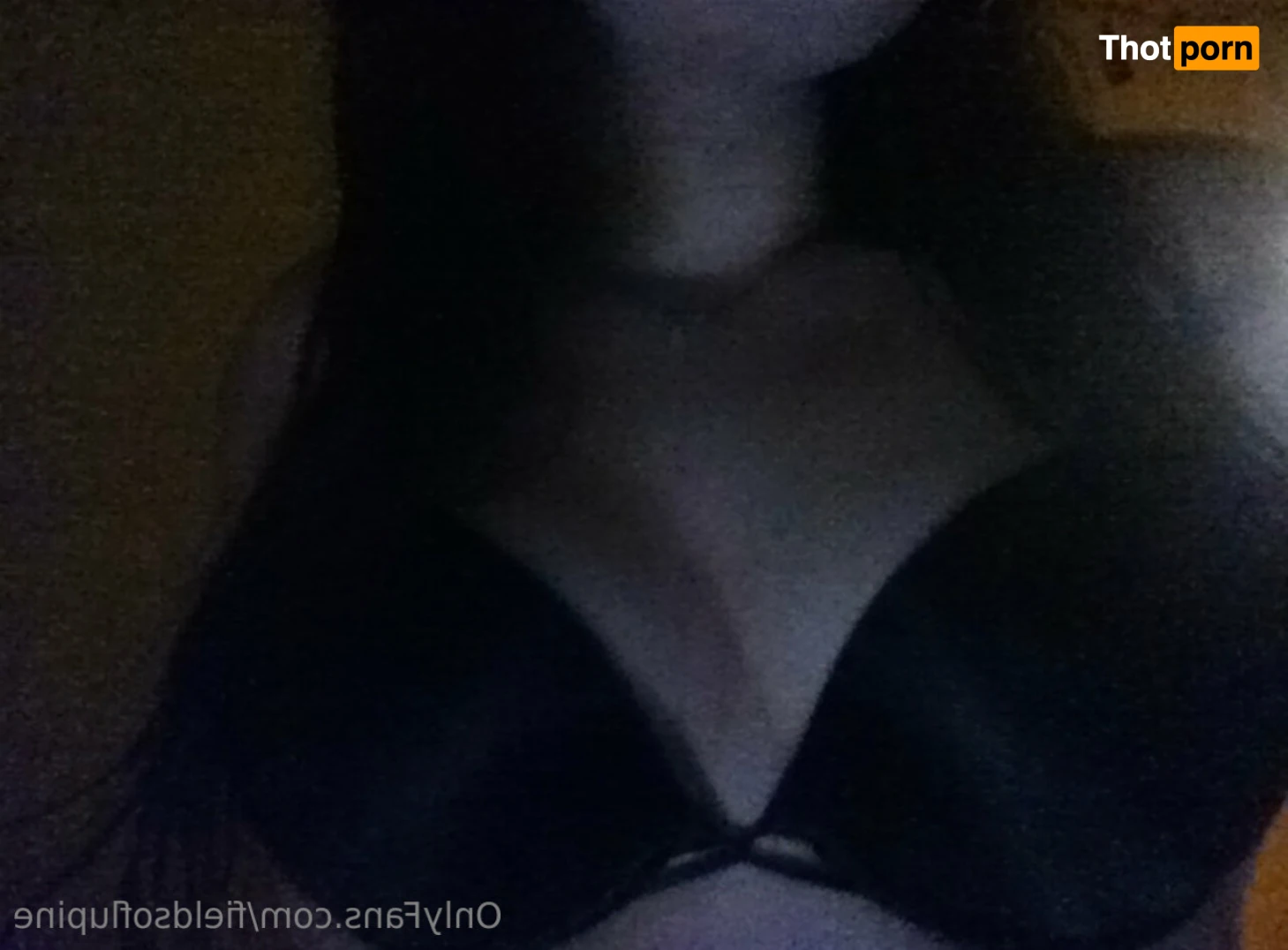 Lupine Fields 16388587