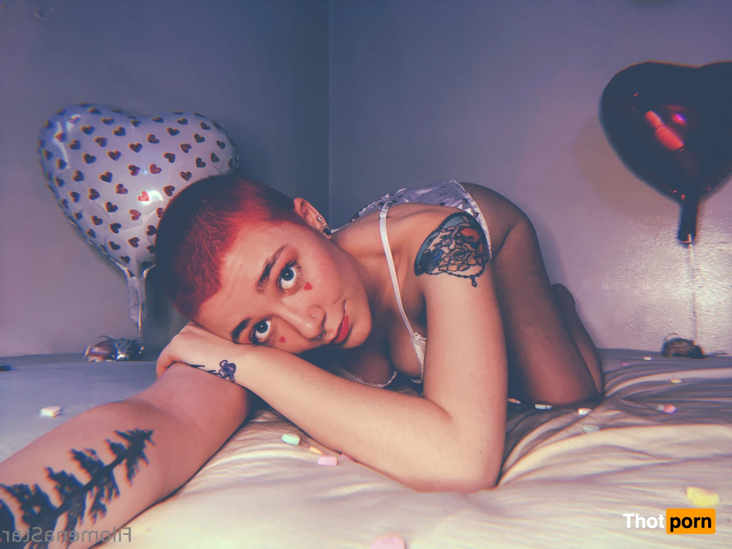 Filomena Star 16379245