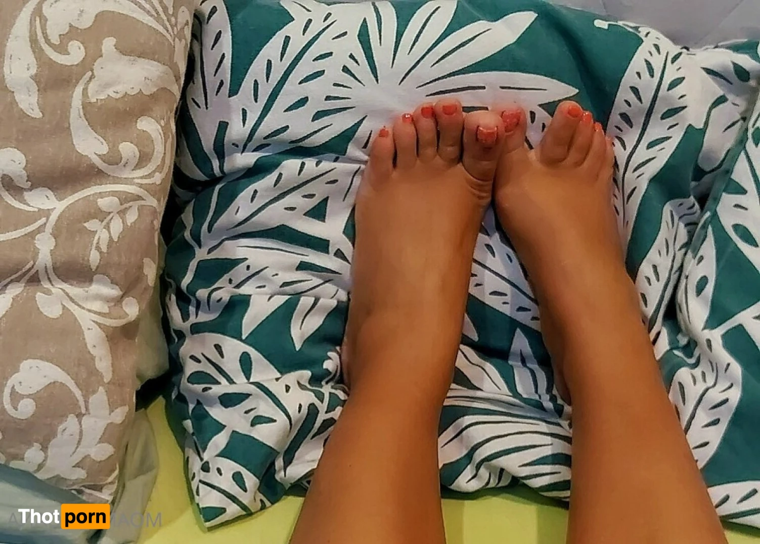 MOANA☆VIP☆ 16366179