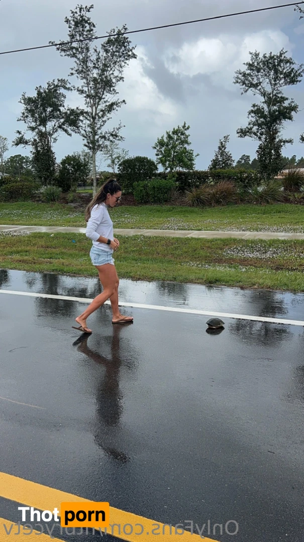 Bryce Adams 🎥 15655721