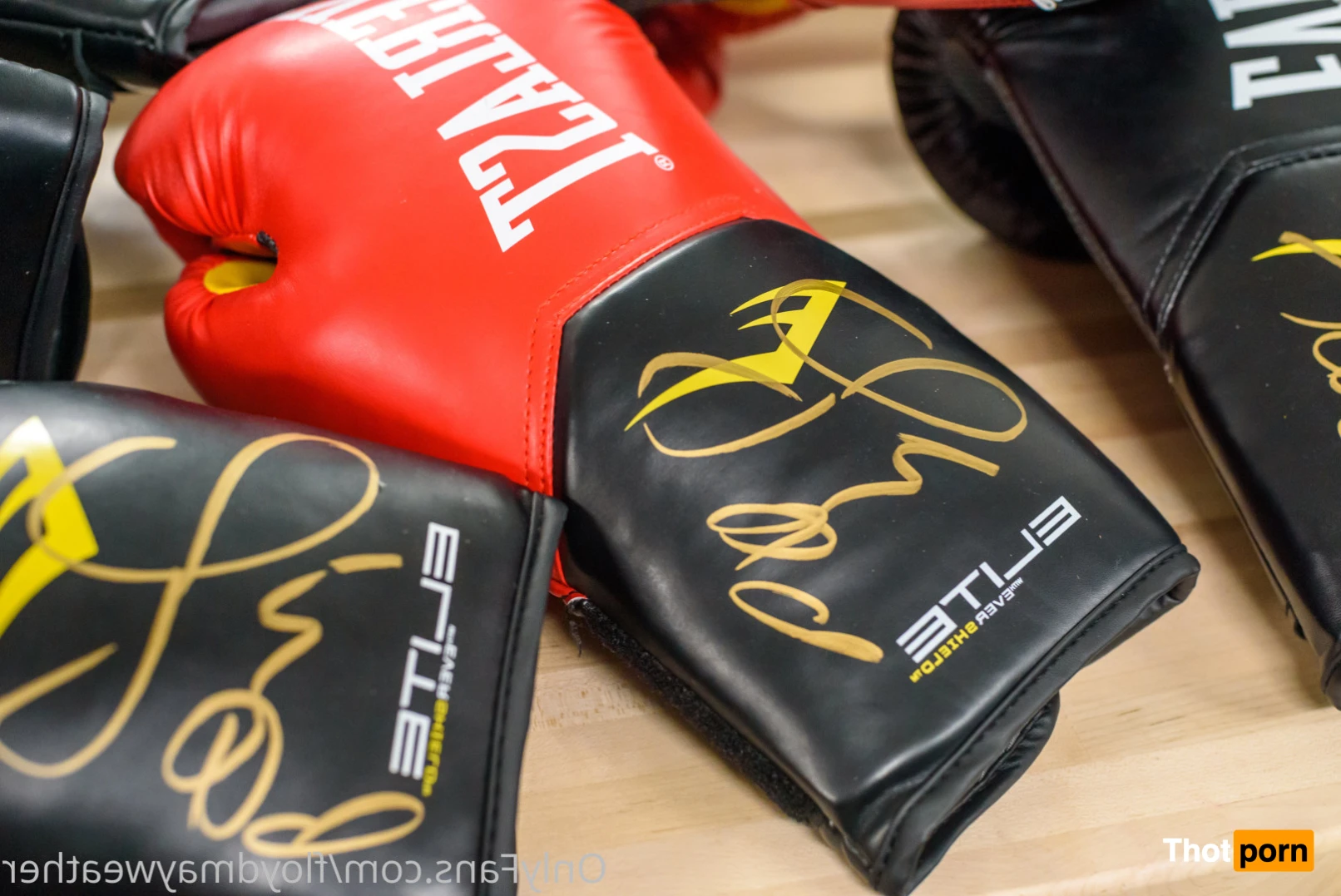 Floyd Mayweather 16347545