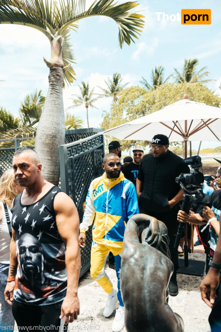 Floyd Mayweather 16347595