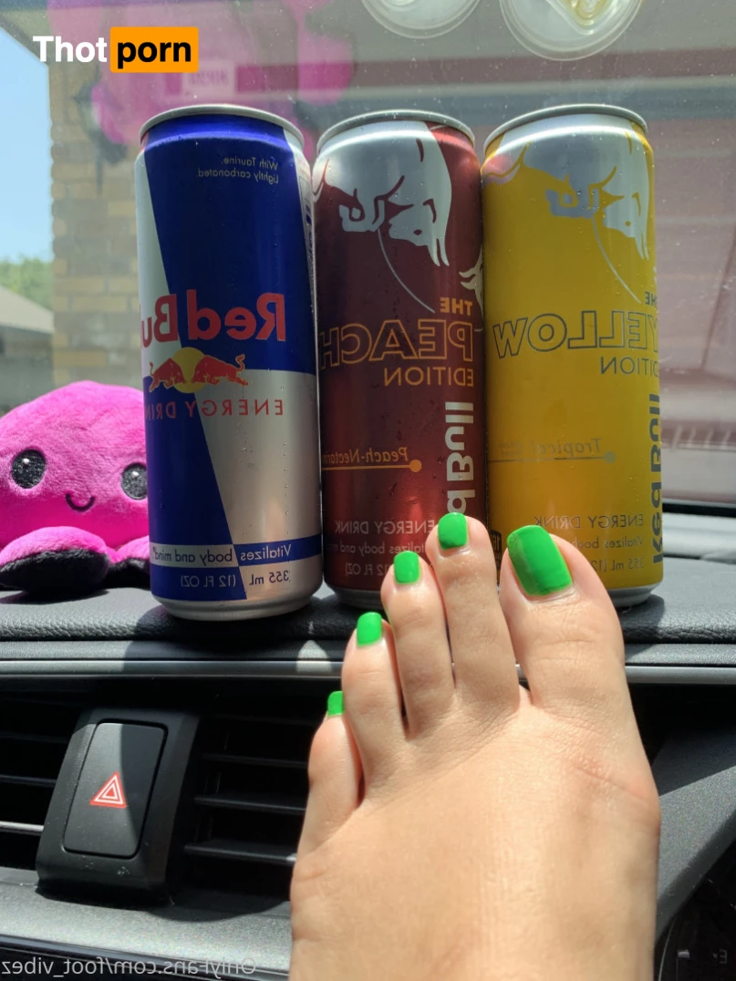 Natasha Vibez 16333981