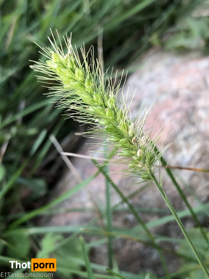 moonandstars713 ✨ 840934