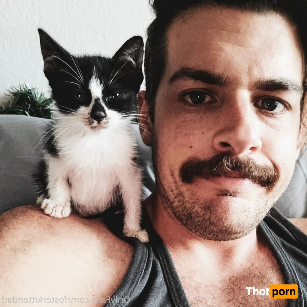 Foster Kitten Dad 16323919