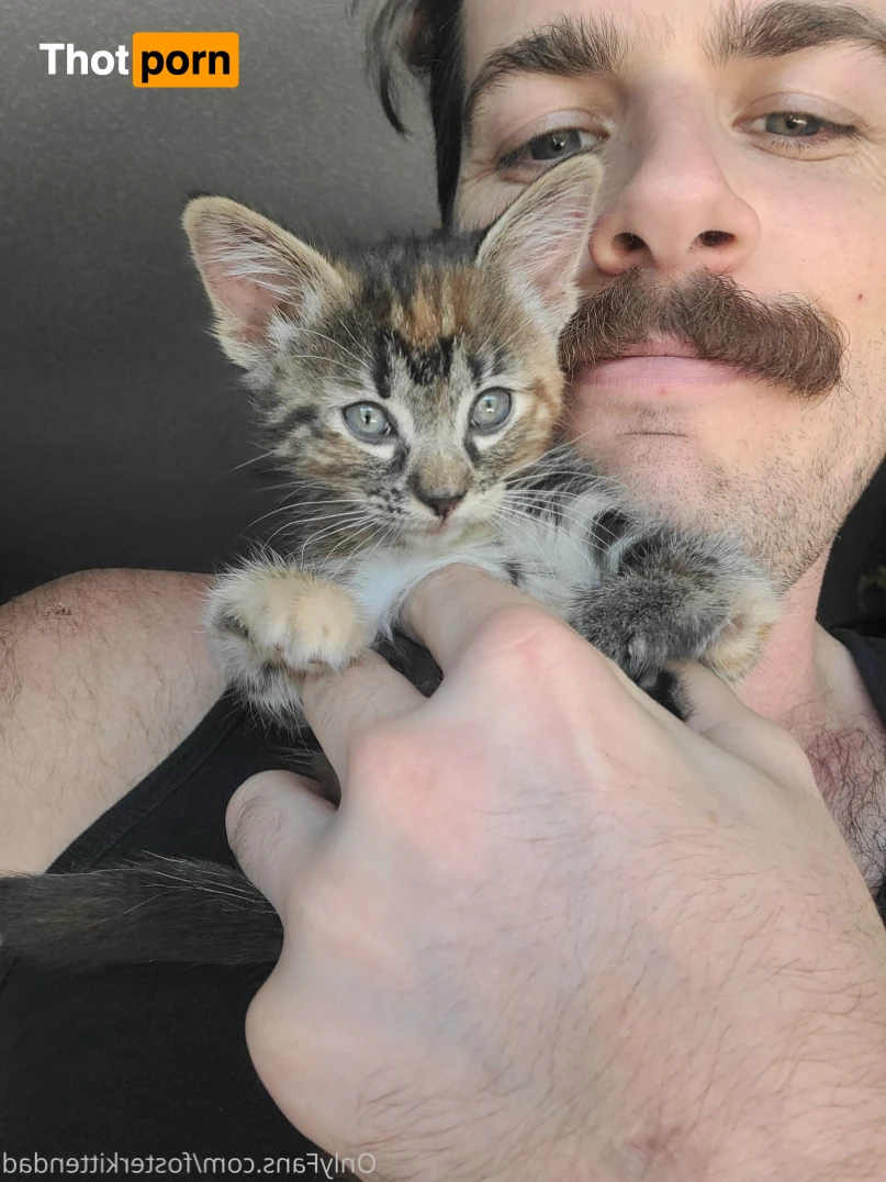 Foster Kitten Dad 16324393