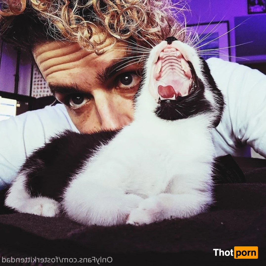 Foster Kitten Dad 16324476