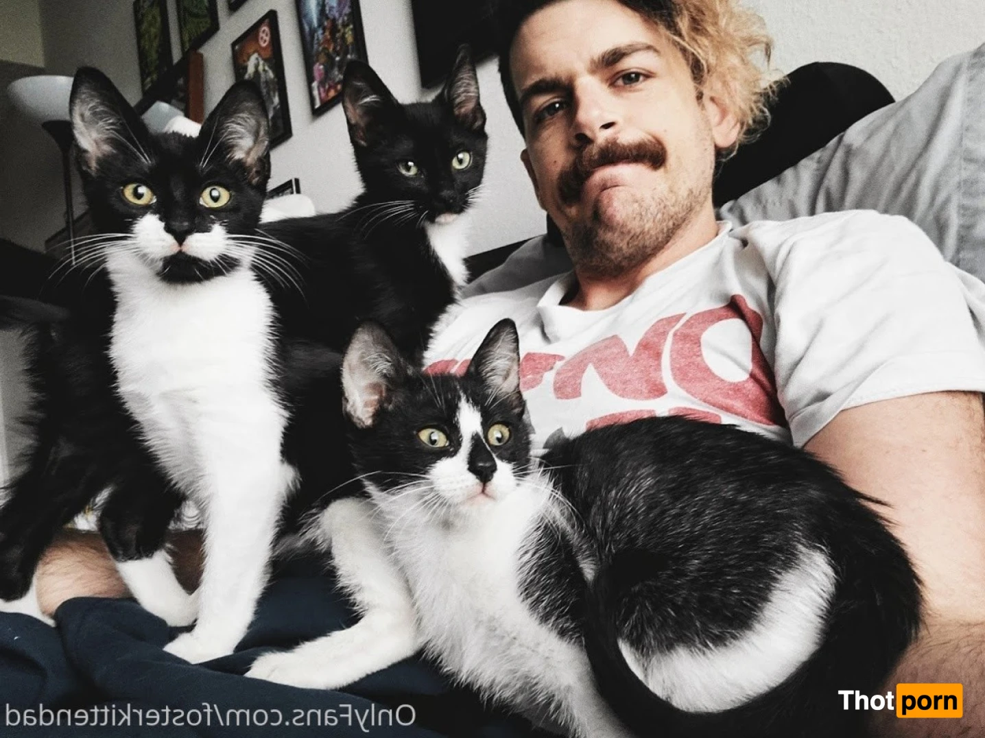 Foster Kitten Dad 16324558