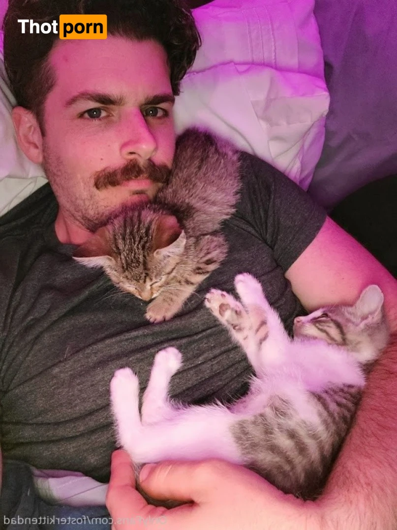 Foster Kitten Dad 16324630