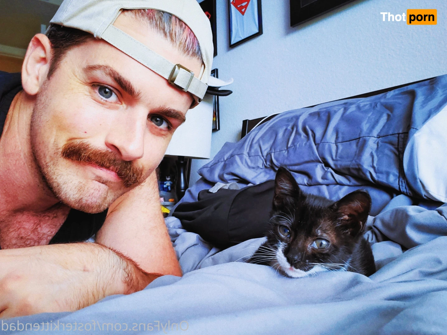 Foster Kitten Dad 16324755