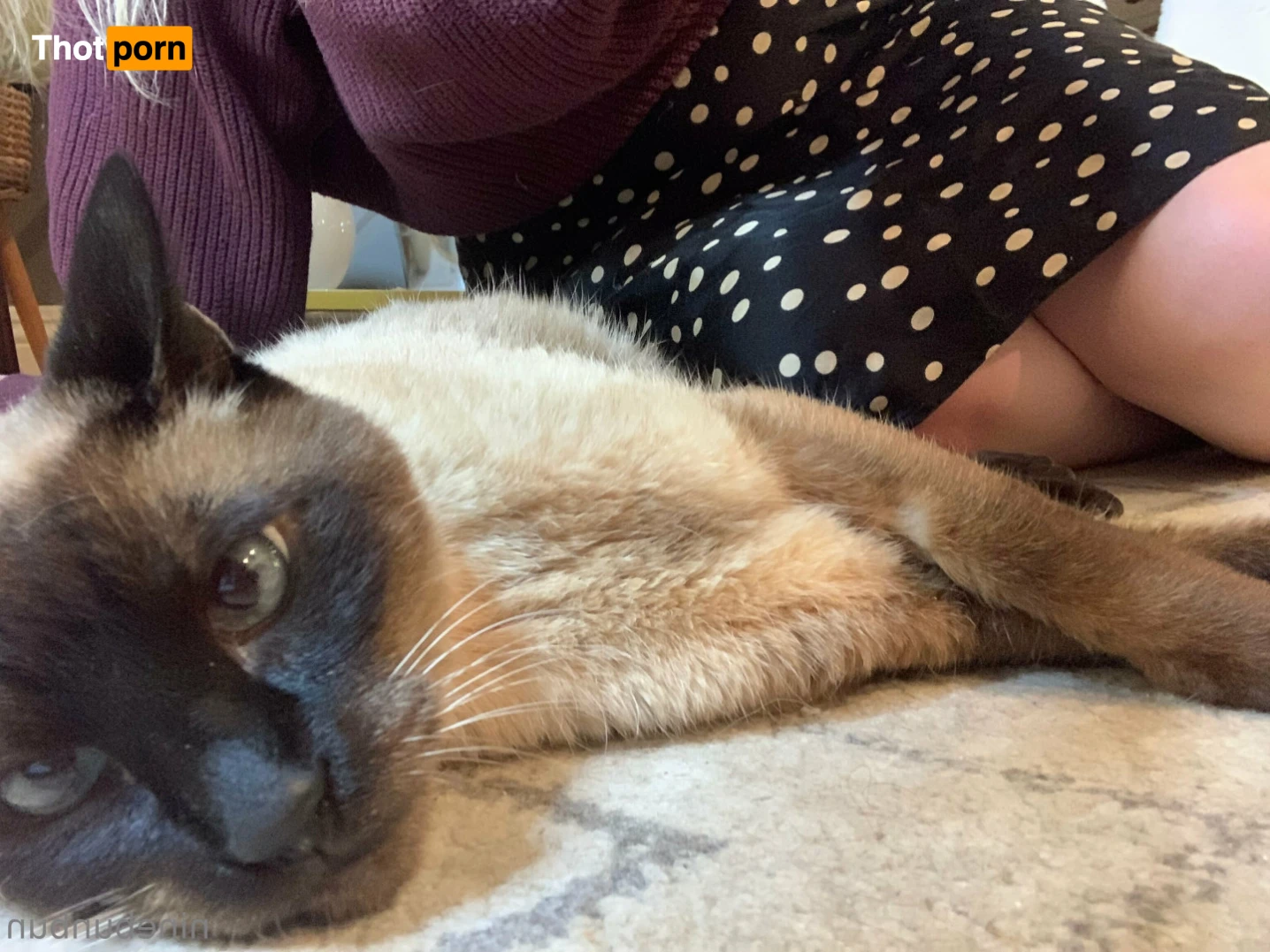 Bunbun ~ FREE! 16261171