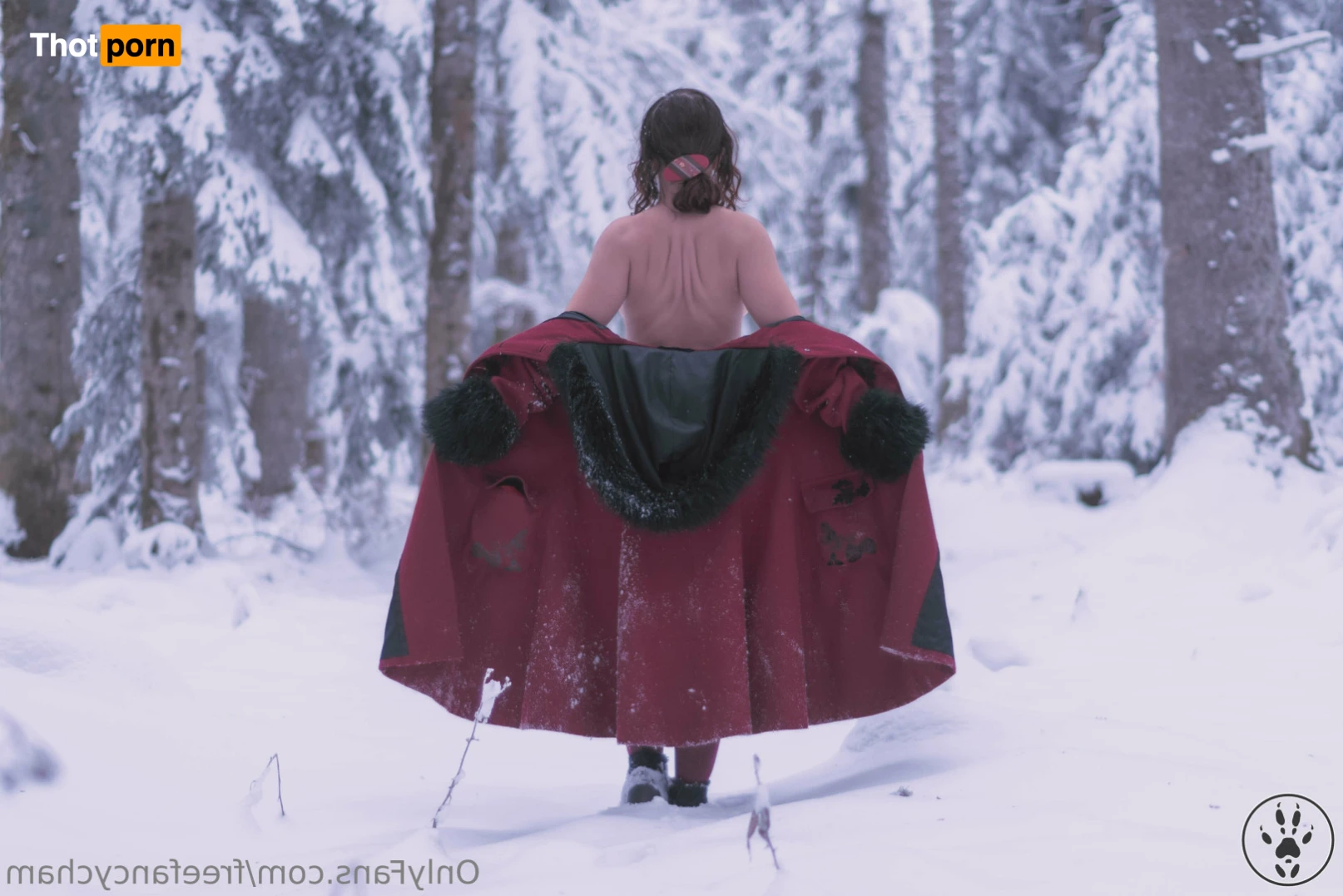 Free Fancy Cham 16258669