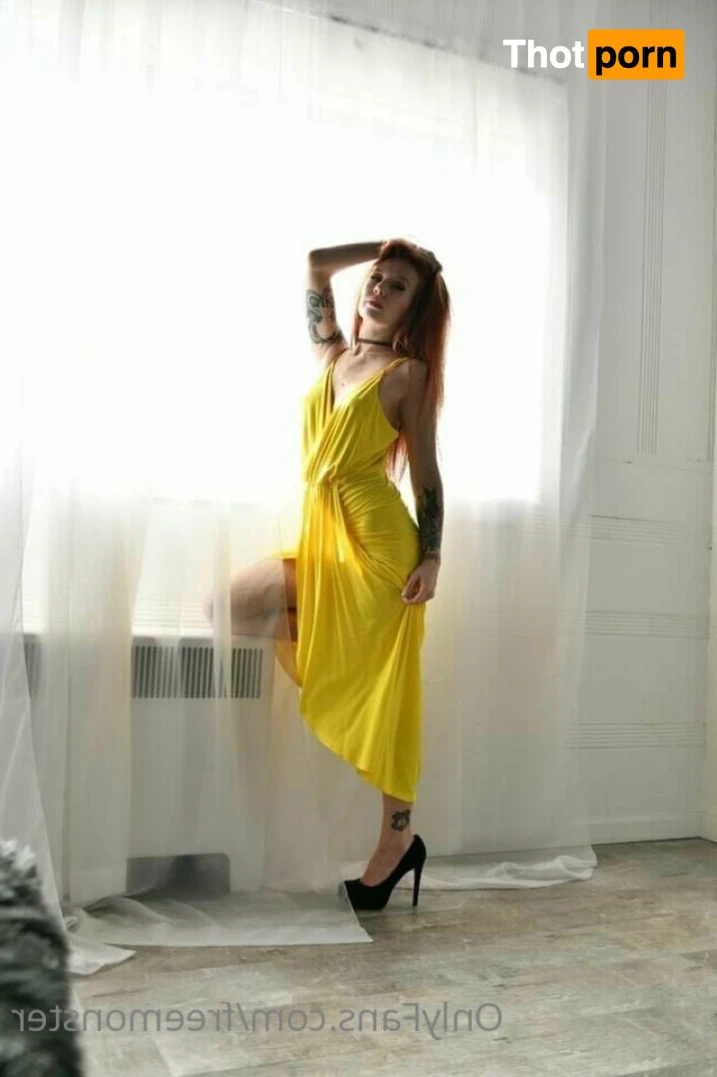 freemonster 16252097