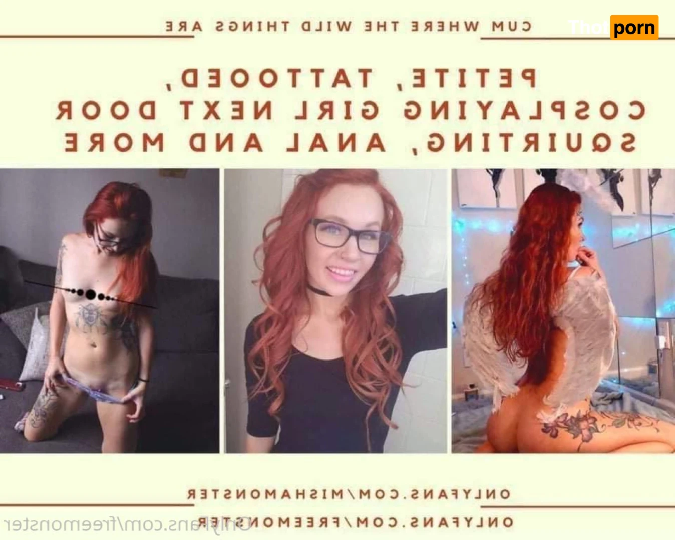 freemonster 16252441