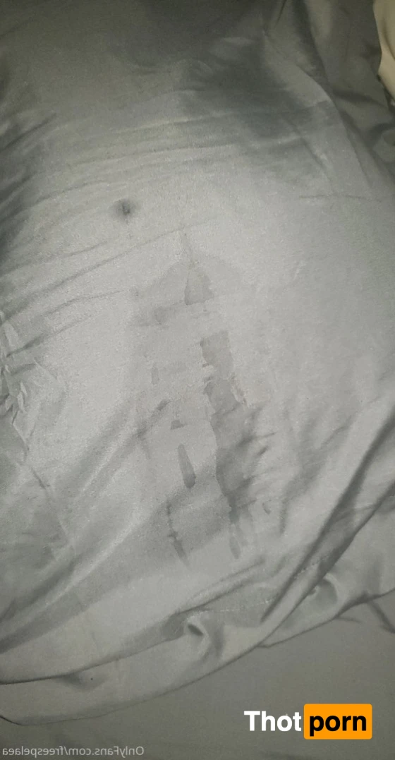 freespelaea 16226520