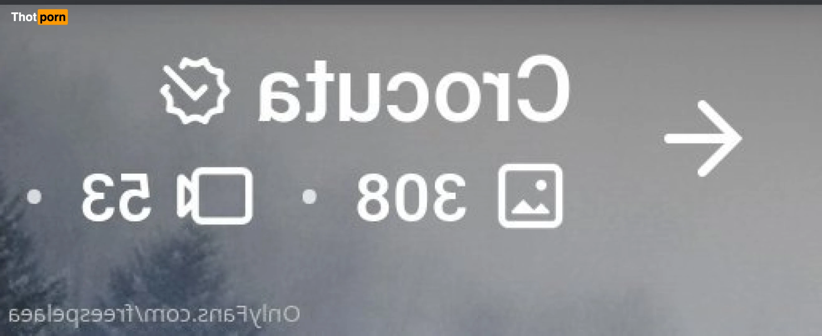 freespelaea 16226589