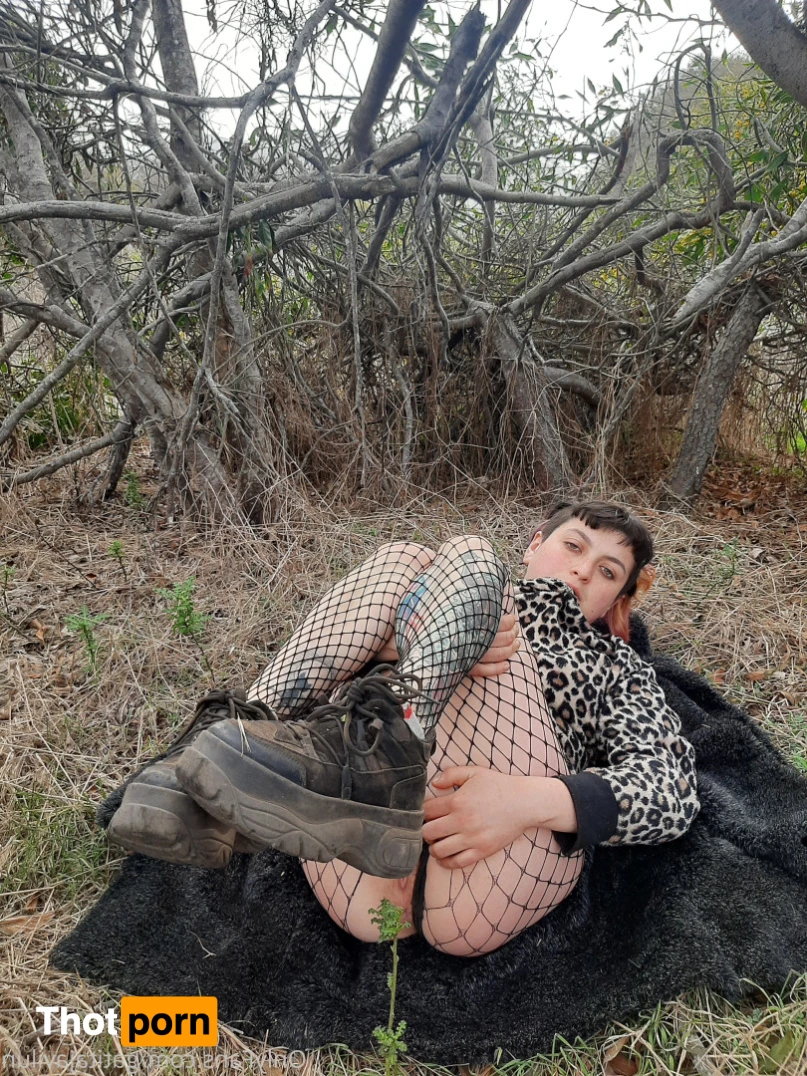 Gatita javilun 16181432