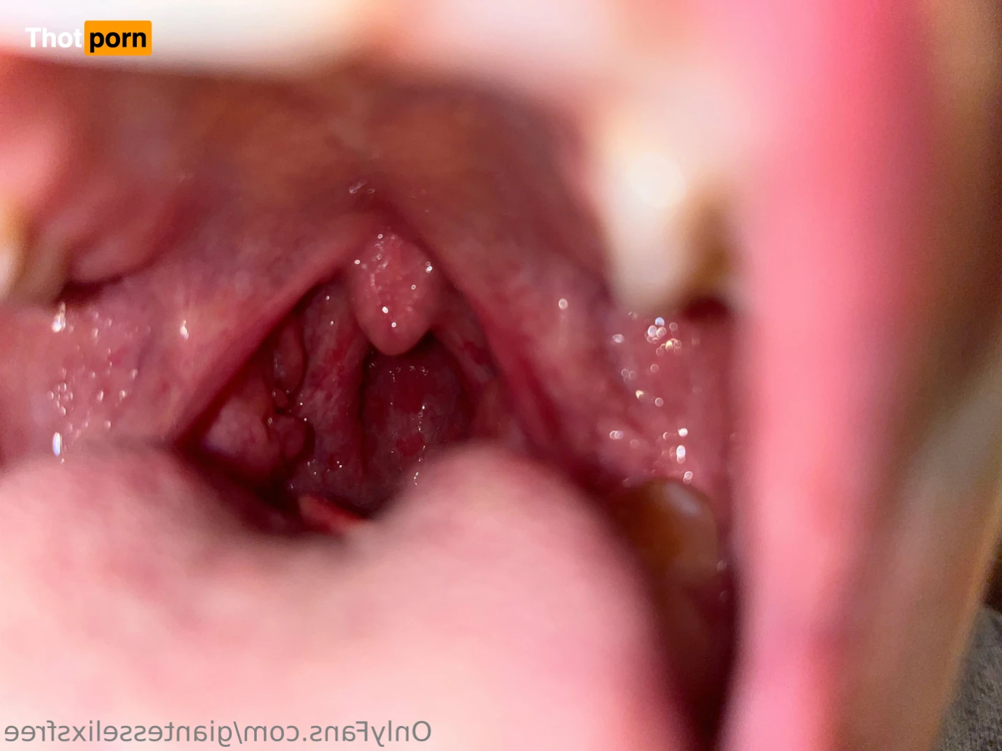 Giantess Elixs 16071427