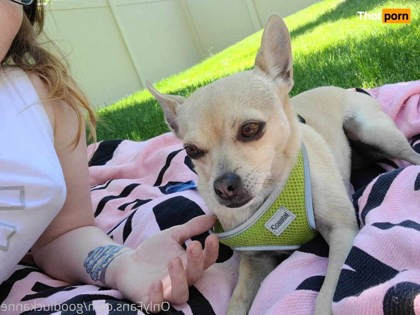 Nicole Redwood 15808903