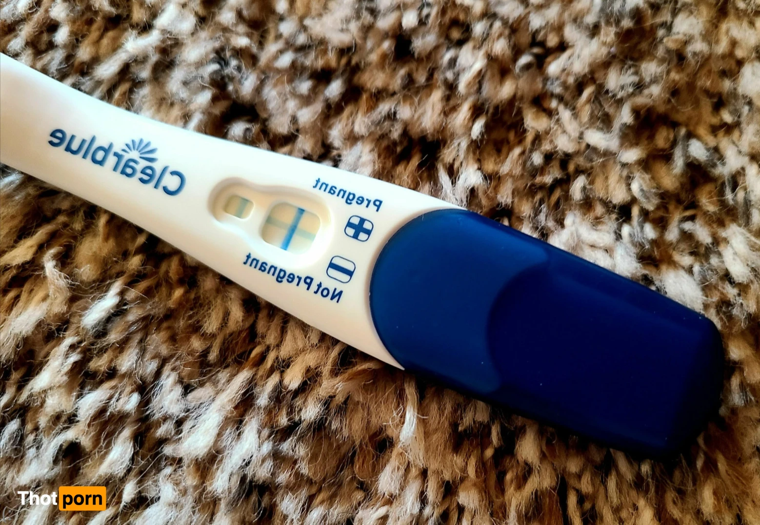 Nicole Redwood 15809011