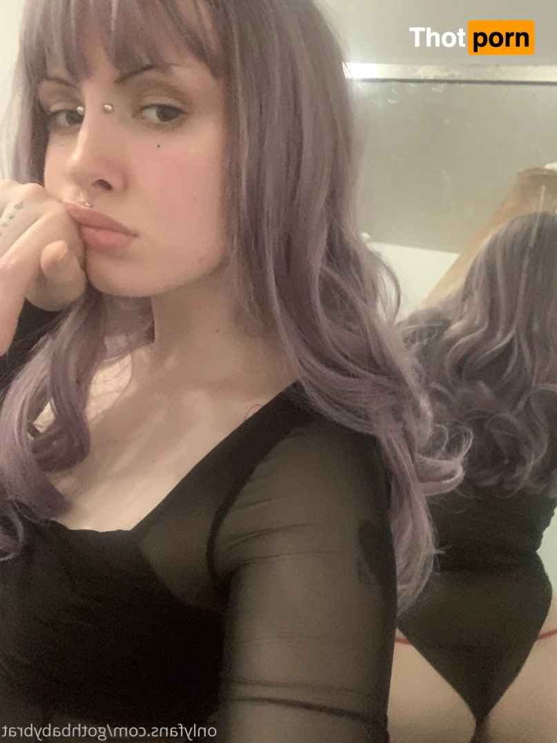 dahlia puppy 15790184