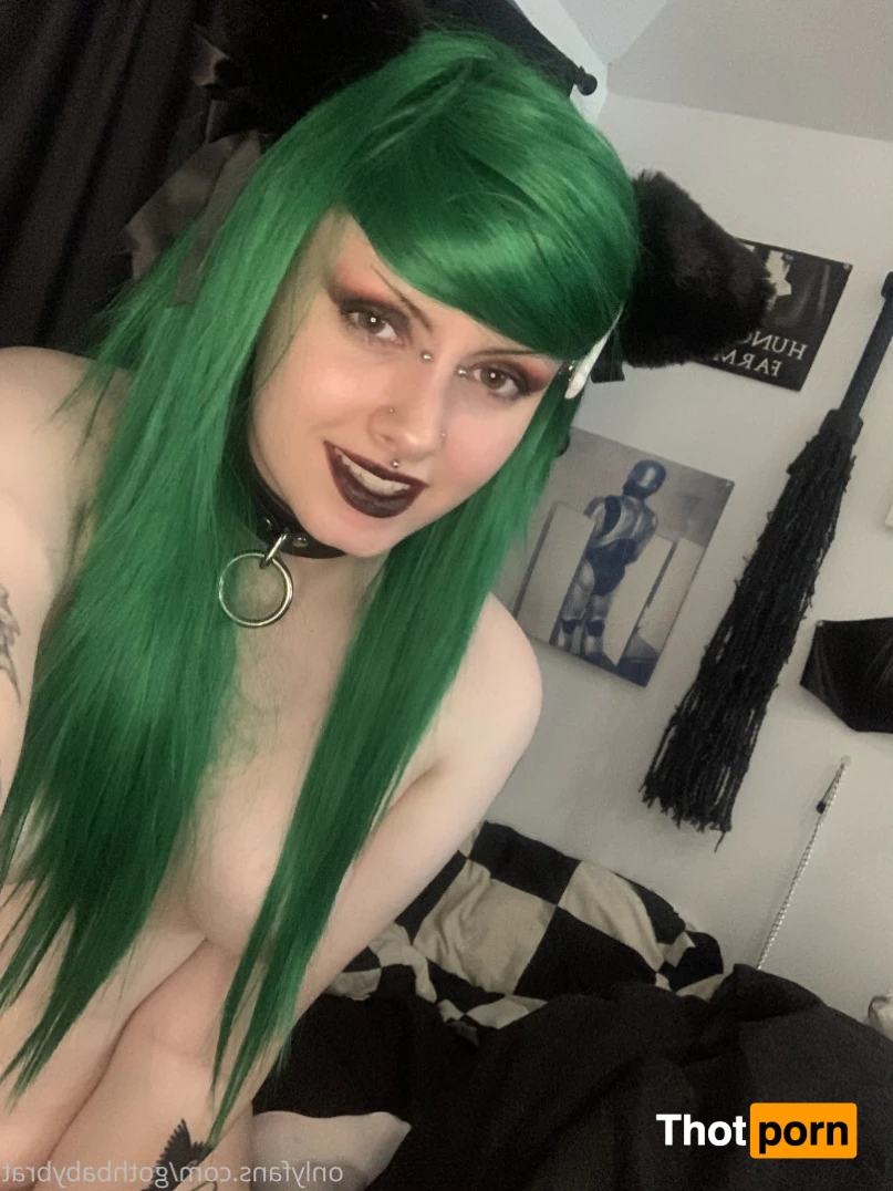 dahlia puppy 15790225