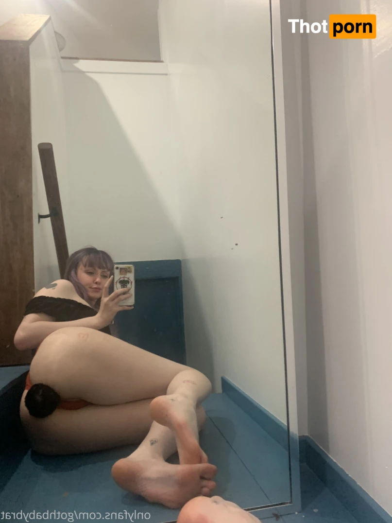 dahlia puppy 15790400