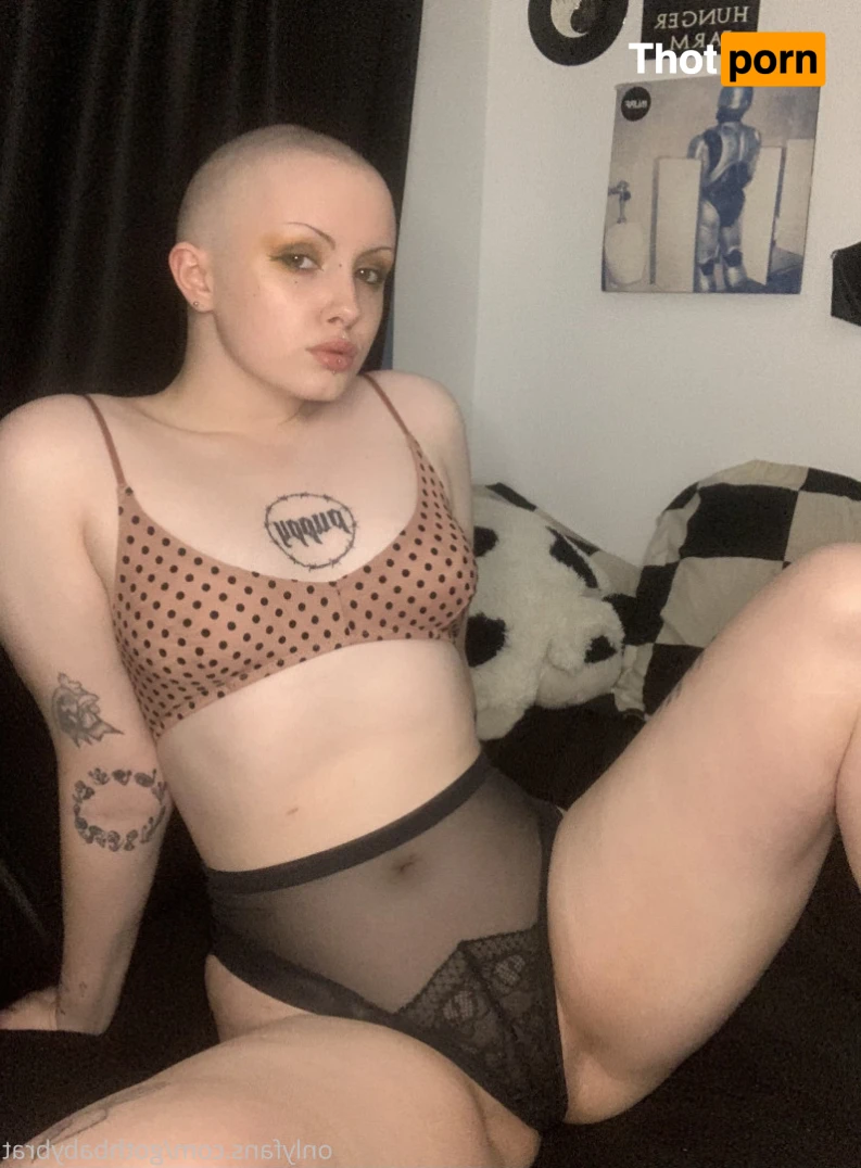 dahlia puppy 15790419