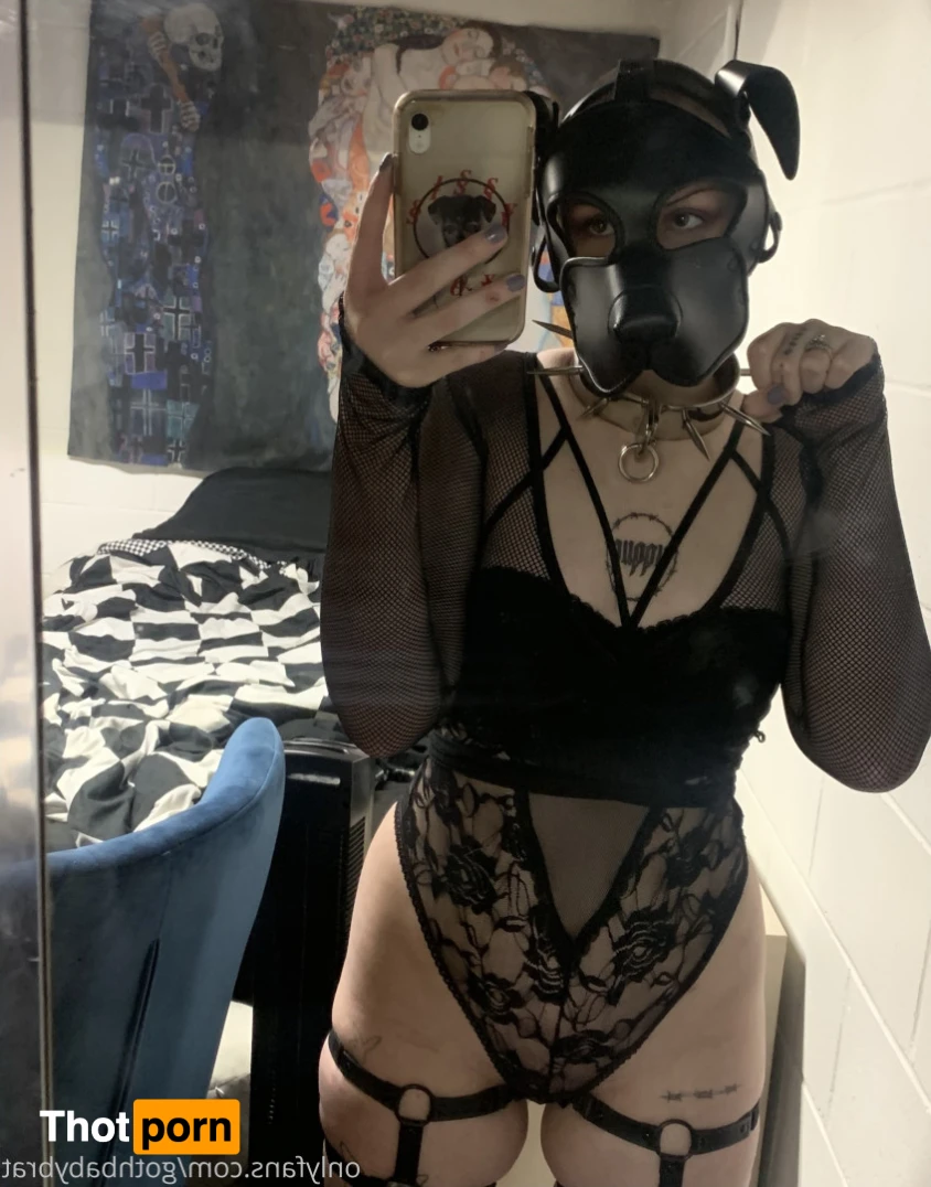 dahlia puppy 15790719