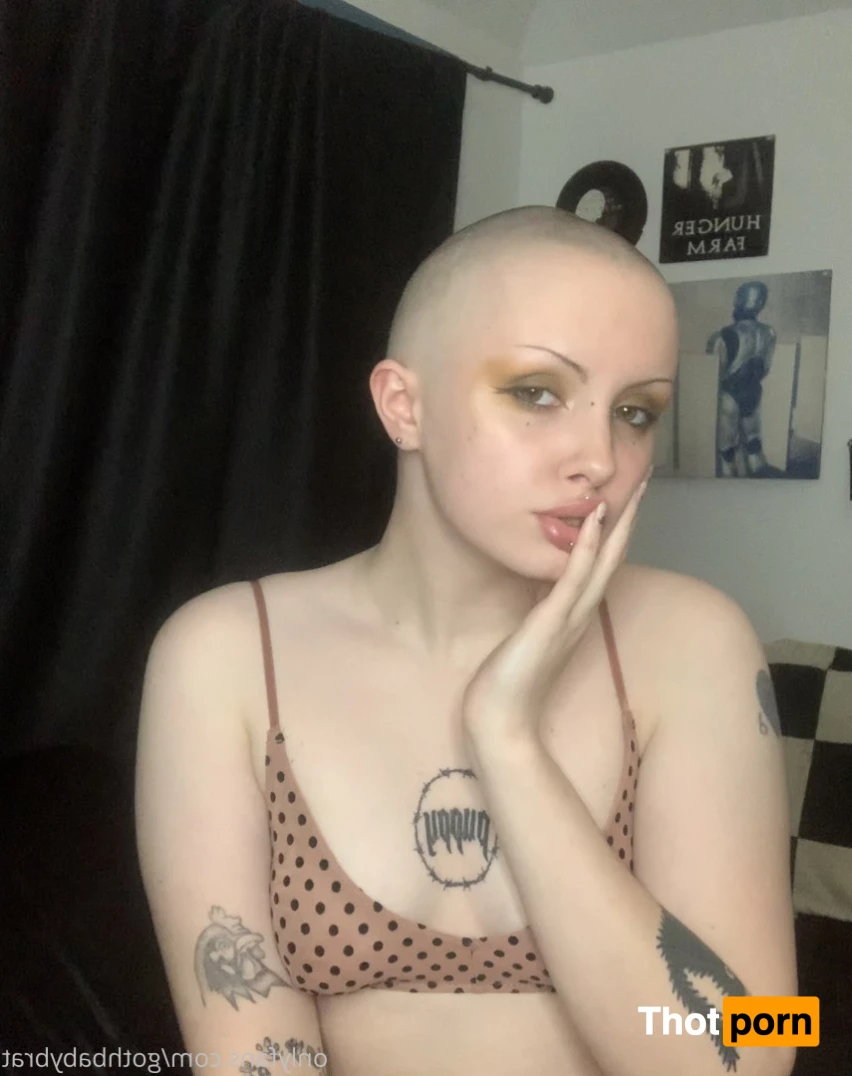 dahlia puppy 15790735