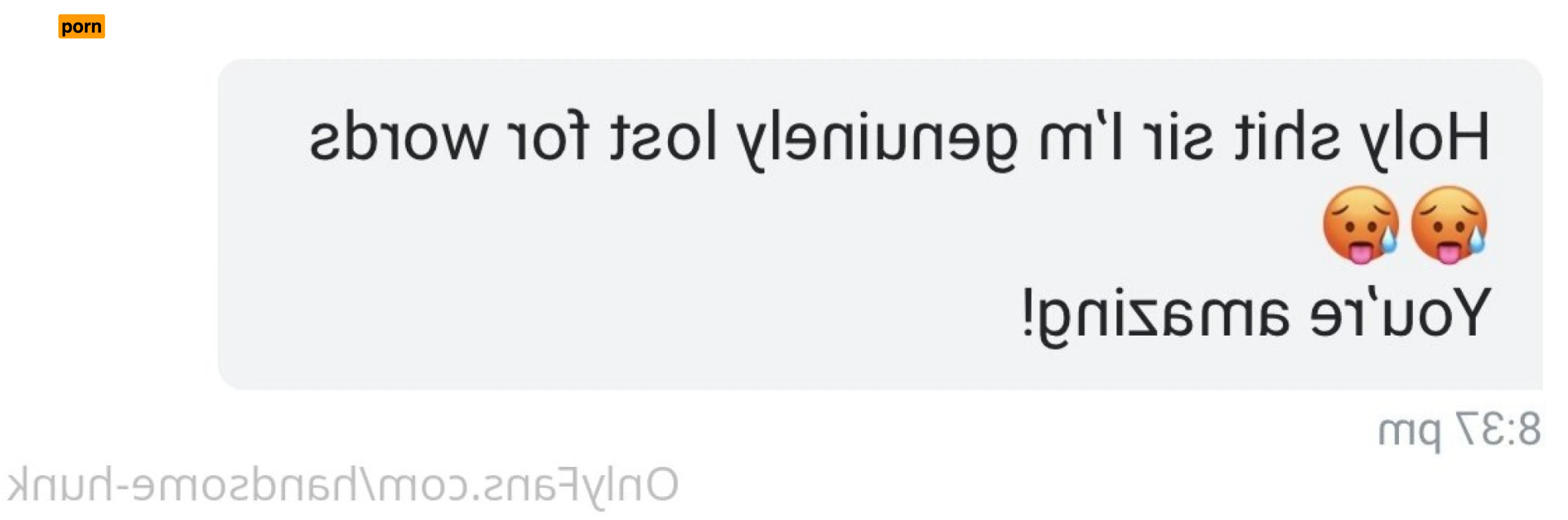 Handsome Hunk 15534863