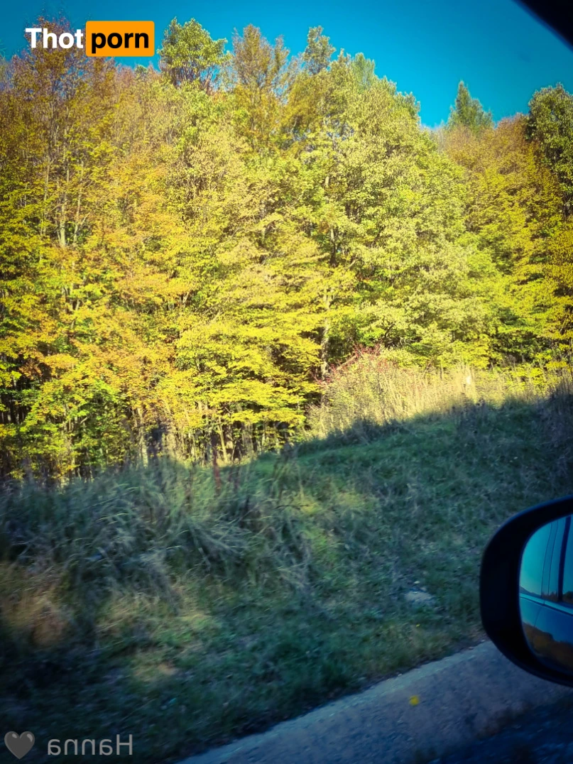 Hanna Brunette 15521166