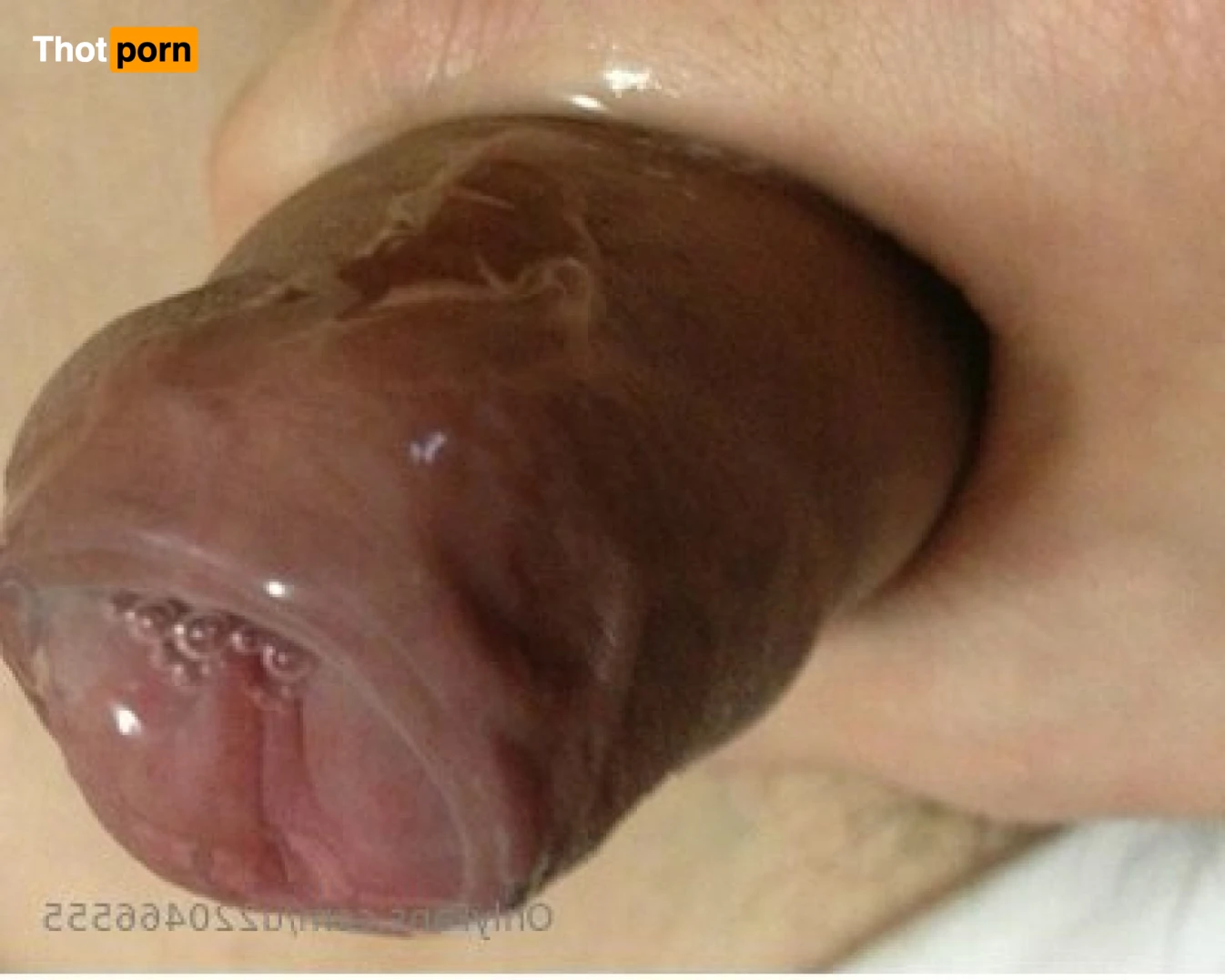 cuckold guy 14499636