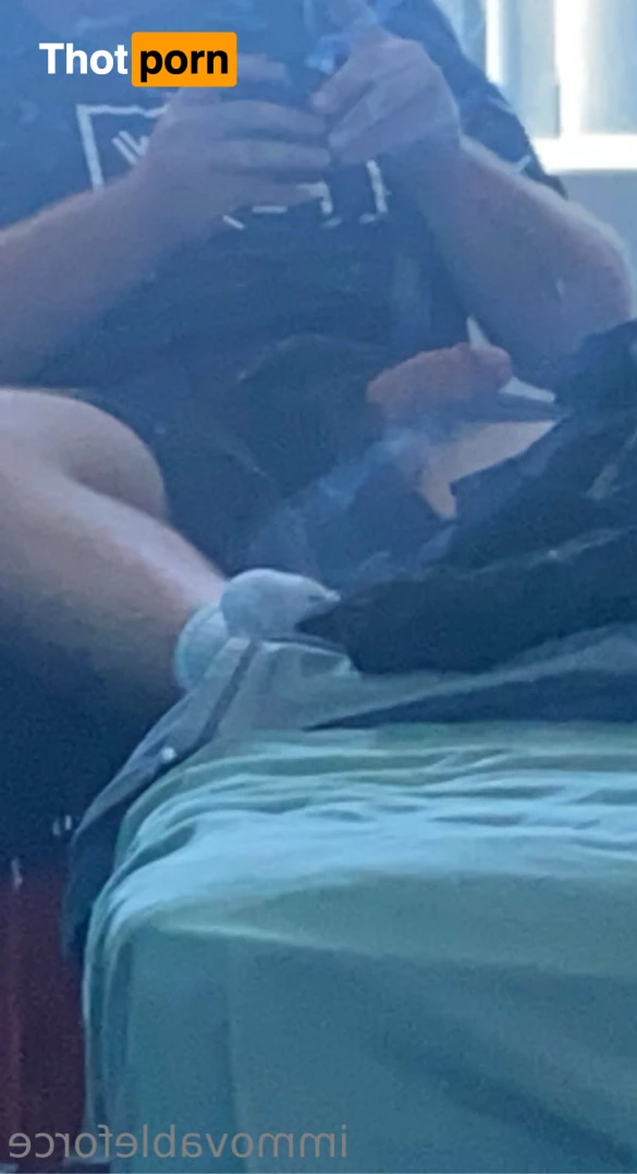 Immovableforce 14474112