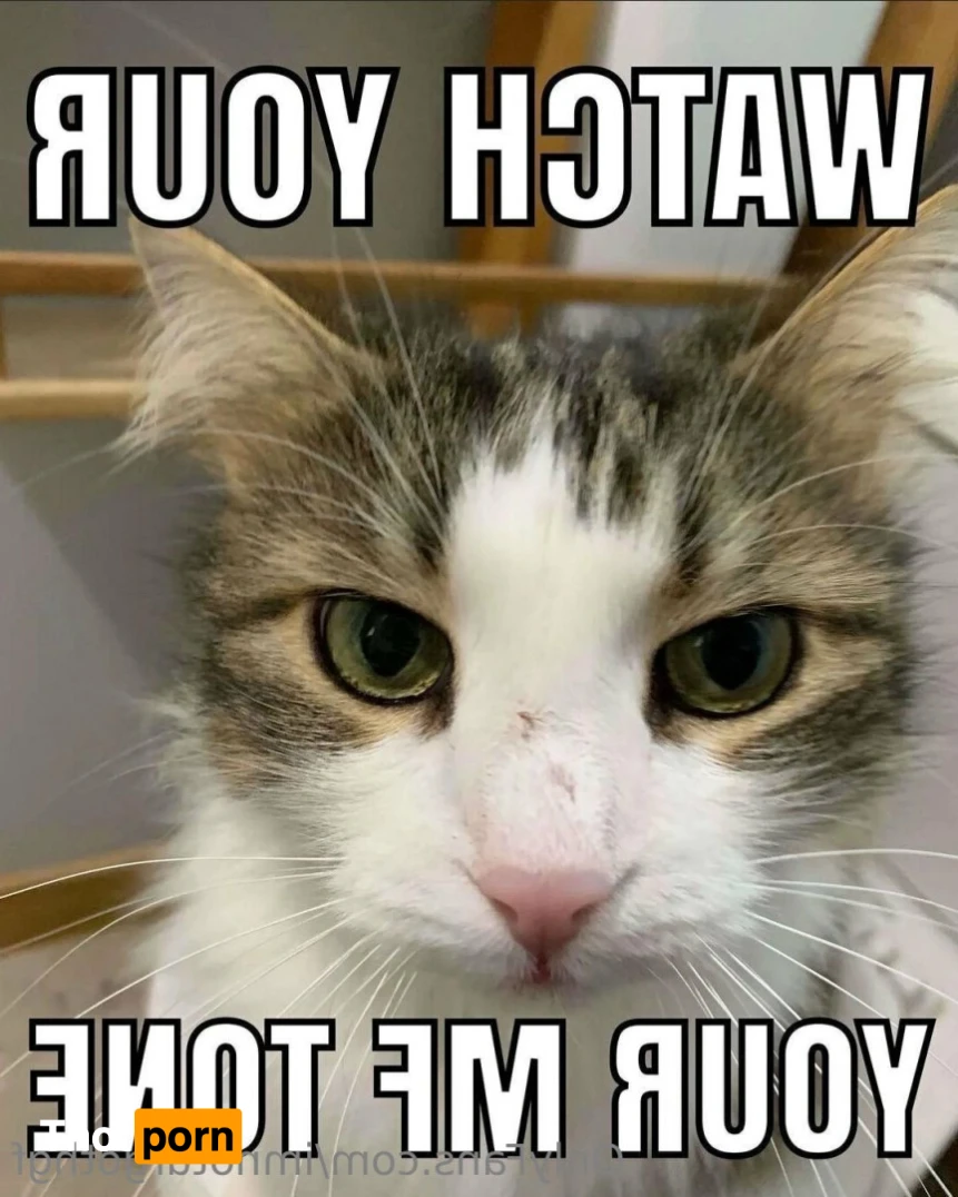 𝔫𝔬𝔱𝔲𝔯𝔤𝔬𝔱𝔥𝔤𝔣 14471510