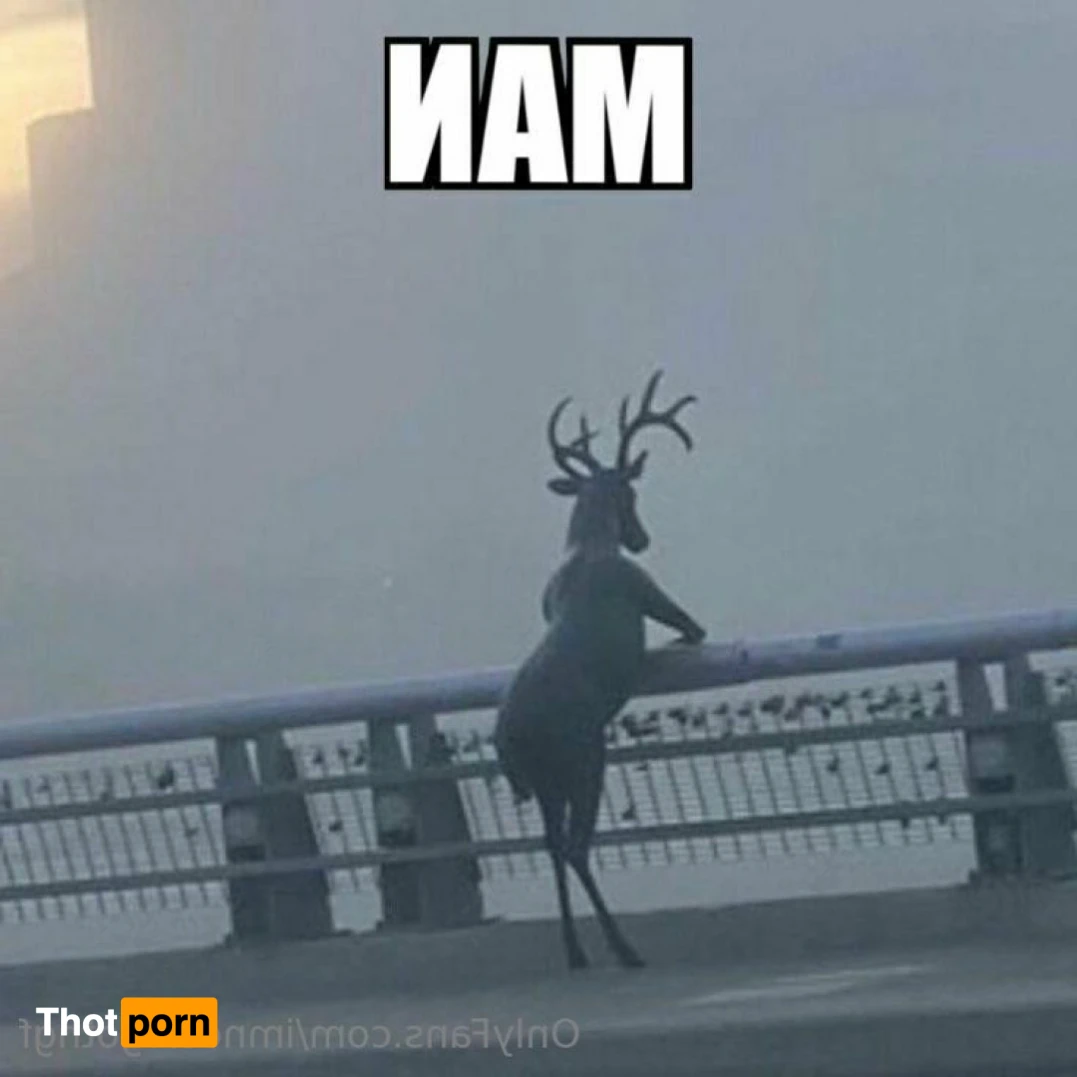 𝔫𝔬𝔱𝔲𝔯𝔤𝔬𝔱𝔥𝔤𝔣 14471612